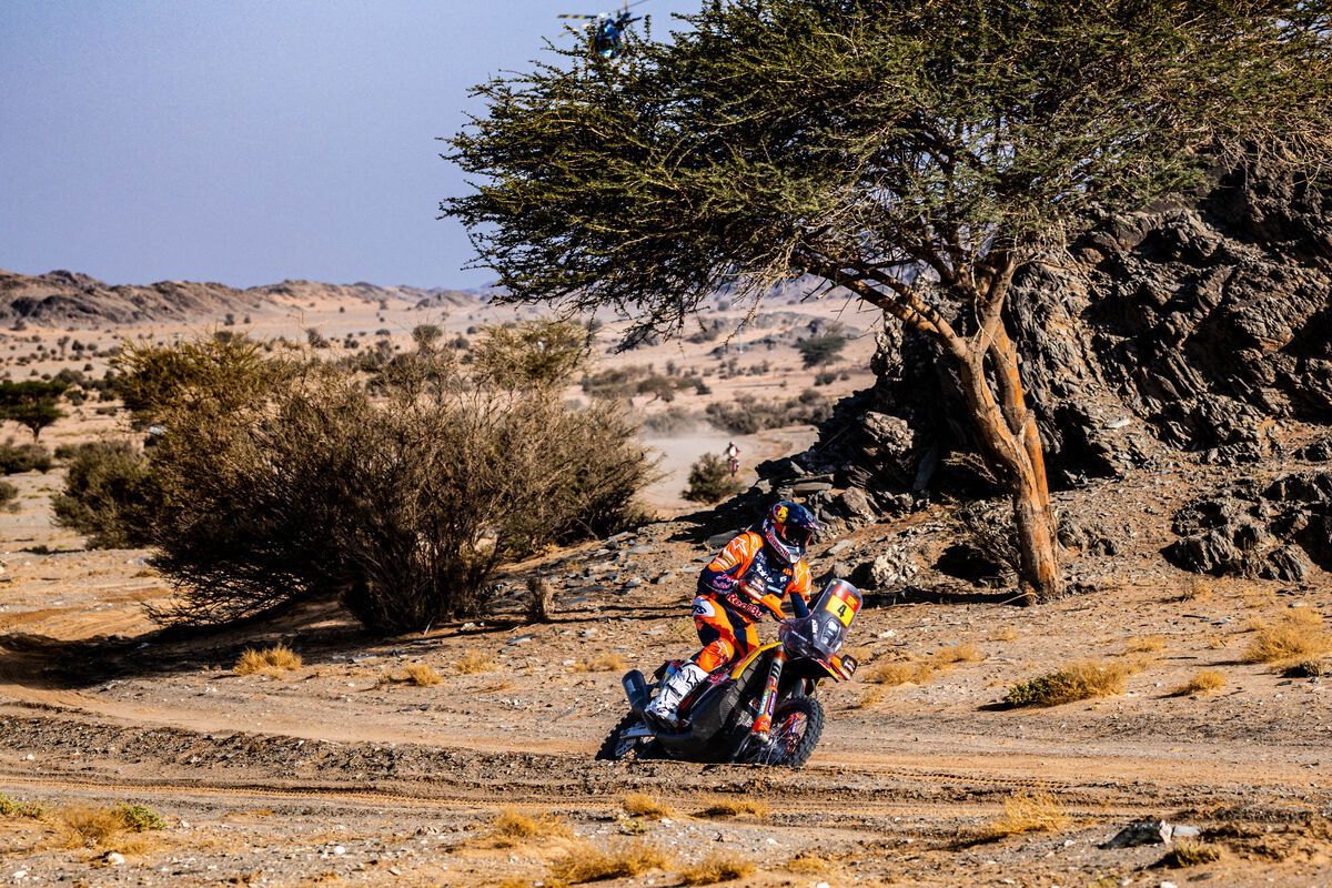664098 daniel sanders KTM Dakar Rally 2025 Saudi Arabia Stage8 0515 Stage 8