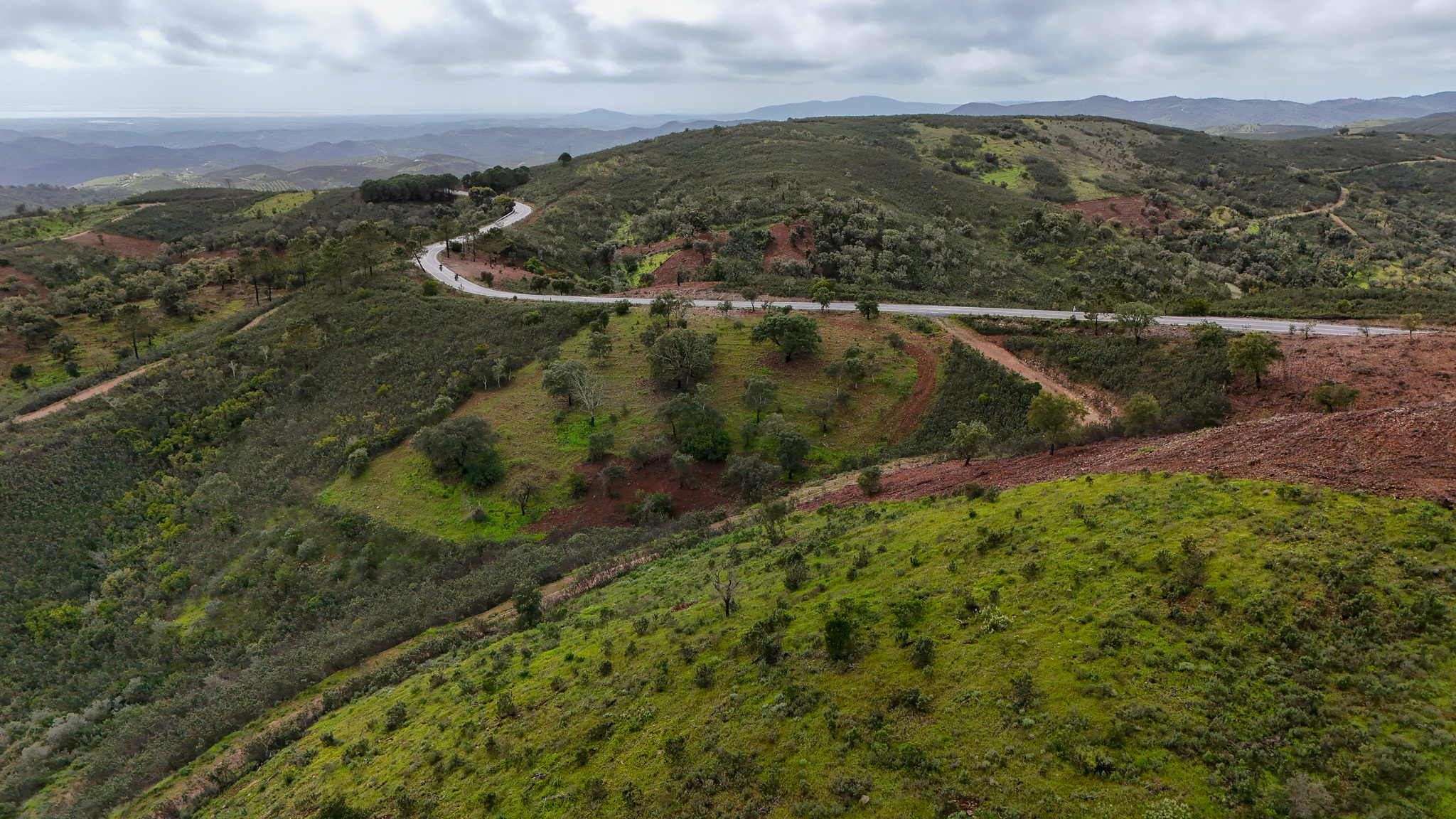 DJI 20250317130420 0048 D